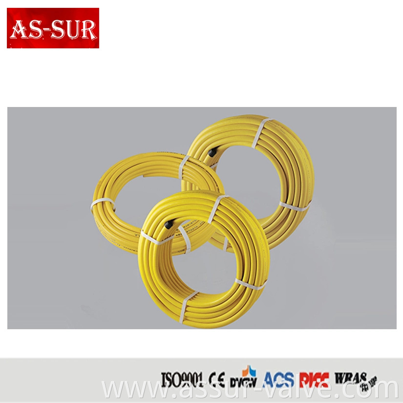 Stainless Steel Corrugated Hose, Flexible Metal Hose, Shower Hose